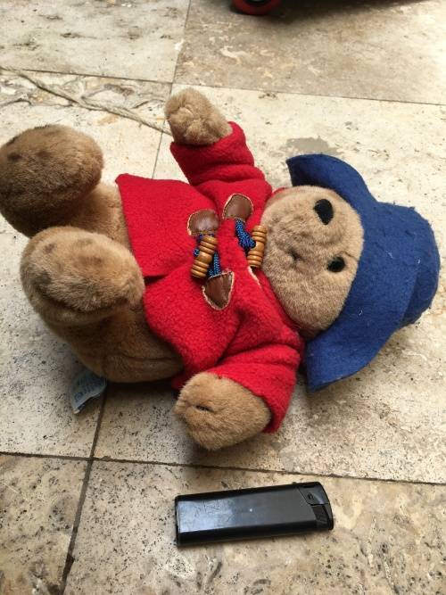 vintage paddington bear by eden