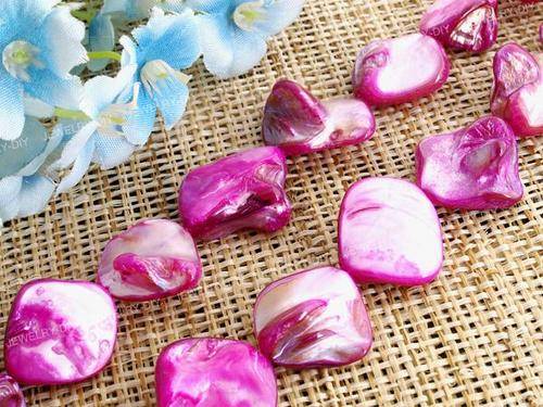 FUSCHIA Baroque Shells