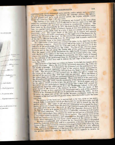 Gray`s Anatomy 27th edition printed 1938 and Structure and Function in Man 3rd edition printed 1974