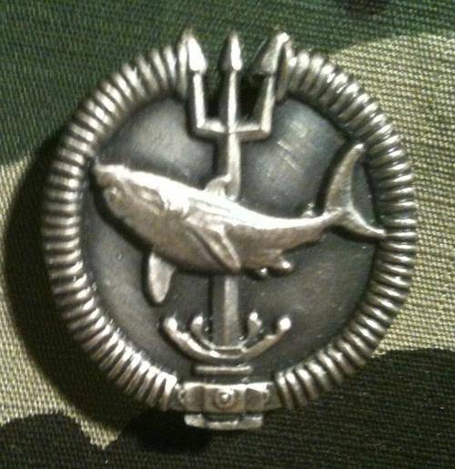 Recce Attack Diver Badge (Original, Numbered, Full Size)