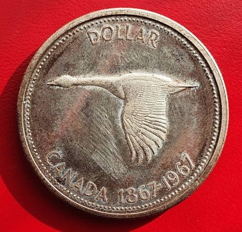 Canadian one dollar