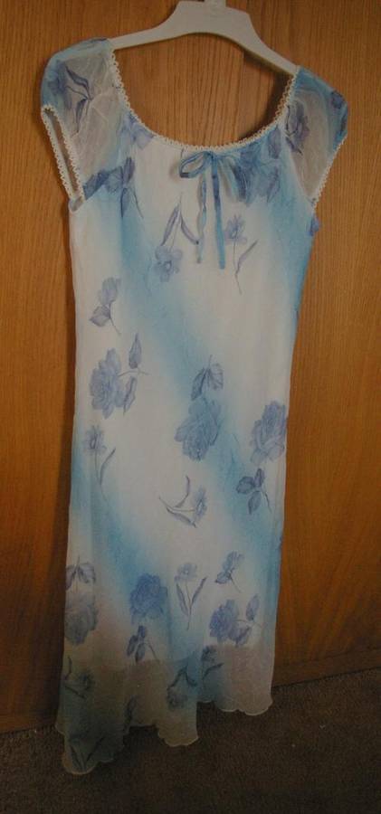 Beautiful Blue Floral Dress