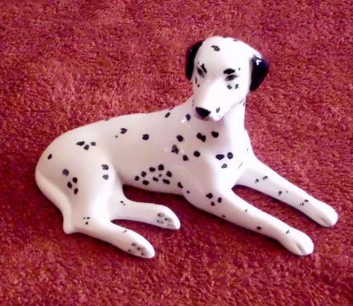 Dalmation W R Midwinter