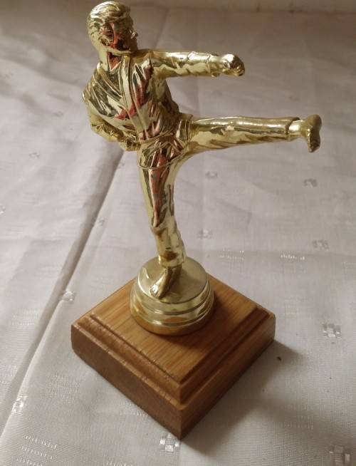 MARTIAL ARTS TROPHY