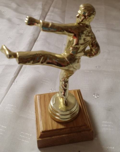 MARTIAL ARTS TROPHY