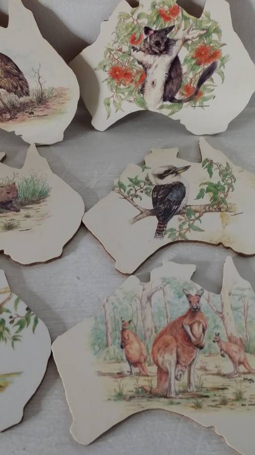 Set of six Australia Wildlife Creations Coasters