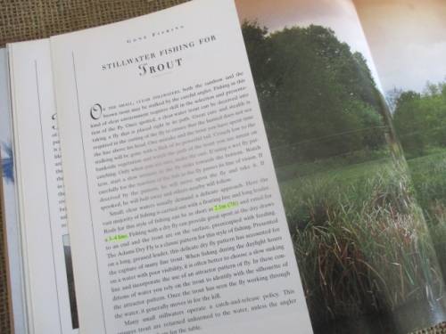 Fishing Flies...A Practical Guide To The Craft Of Fly Tying By Martin Ford