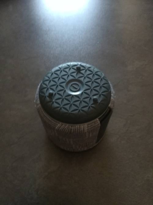 Fabriq Alexa Speaker