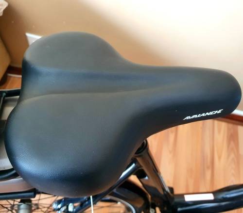 *MINT CONDITION* Avalanche e-go City E-Bike