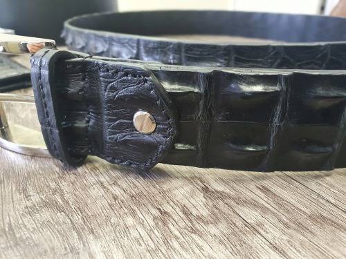 MINT! Hornback Crocodile Wallet and Belt