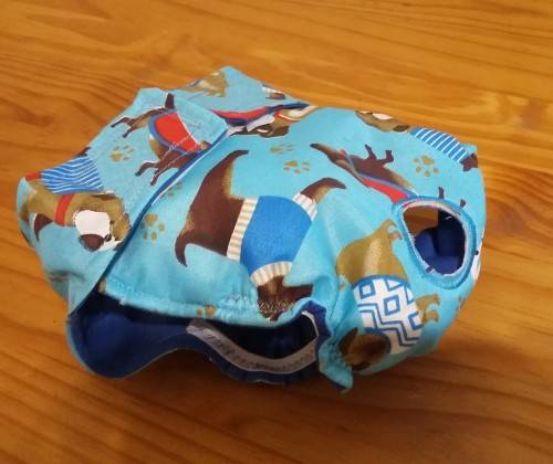 Sanitary pants for female dogs