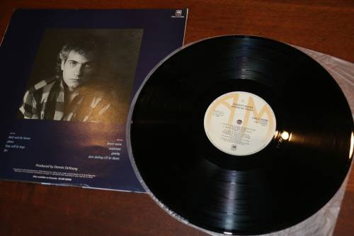 LP - Dennis DeYoung - Desert Moon