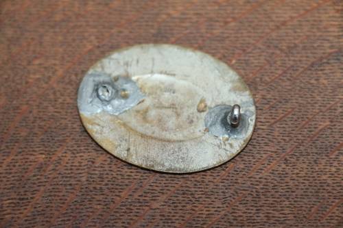 Vintage SAS / SAR Guard Badge