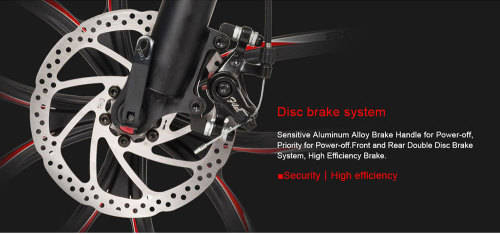 Electrical Bike