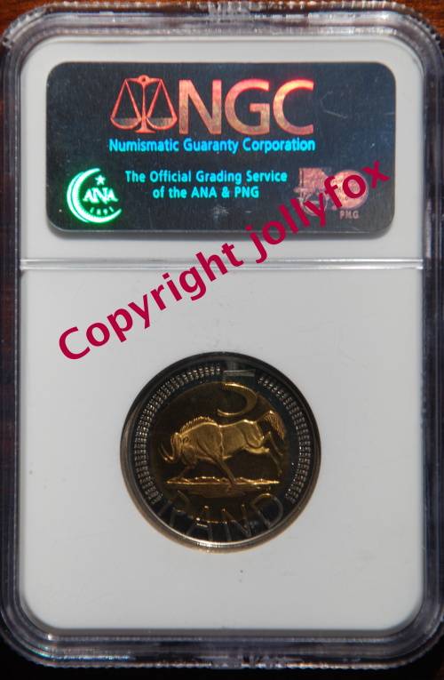 *** ONLY 2 IN THE WORLD!! *** 2004 R5 PF 67 CAMEO NGC GRADED!! ***