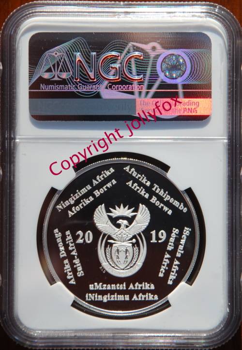 *** TOP GRADE!! *** 2019 SR2 POLYMER PUTTY PF70UC - ONLY 17 EXIST!! ***