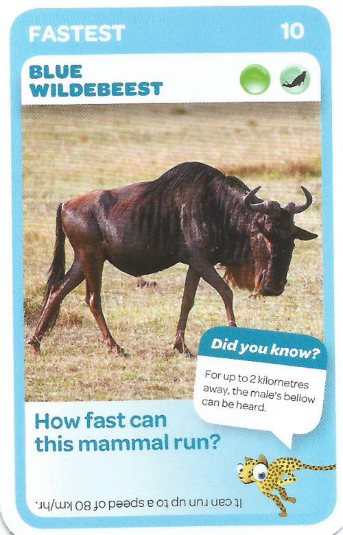 "SUPER ANIMALS" - PICK&PAY TRADING CARD COLLECTION - CARD 10