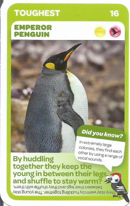 "SUPER ANIMALS" - PICK&PAY TRADING CARD COLLECTION - CARD 16