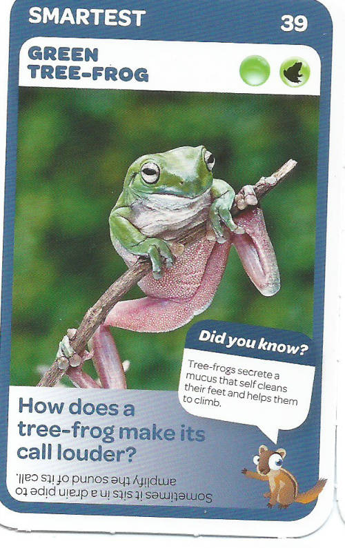 "SUPER ANIMALS" - PICK&PAY TRADING CARD COLLECTION - CARD 39