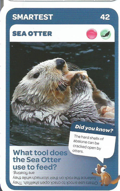 "SUPER ANIMALS" - PICK&PAY TRADING CARD COLLECTION - CARD 42