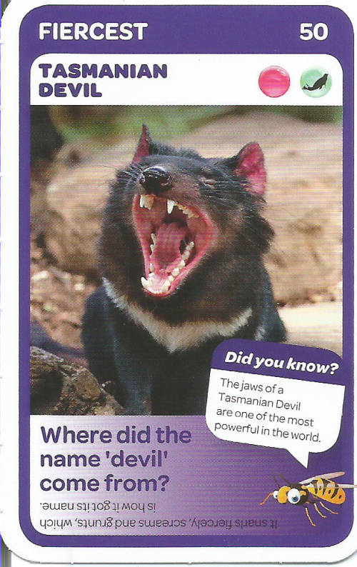 "SUPER ANIMALS" - PICK&PAY TRADING CARD COLLECTION - CARD 50