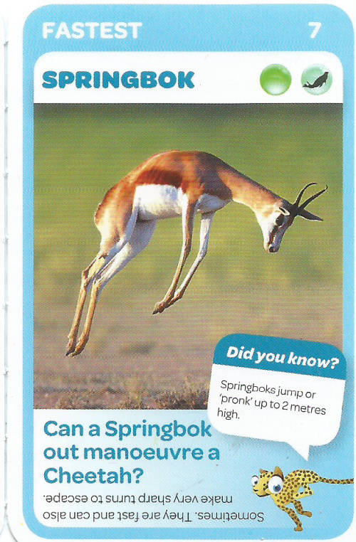 "SUPER ANIMALS" - PICK&PAY TRADING CARD COLLECTION - CARD 7