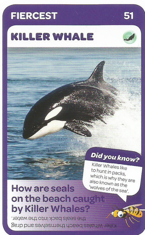 "SUPER ANIMALS" - PICK&PAY TRADING CARD COLLECTION - CARD 51