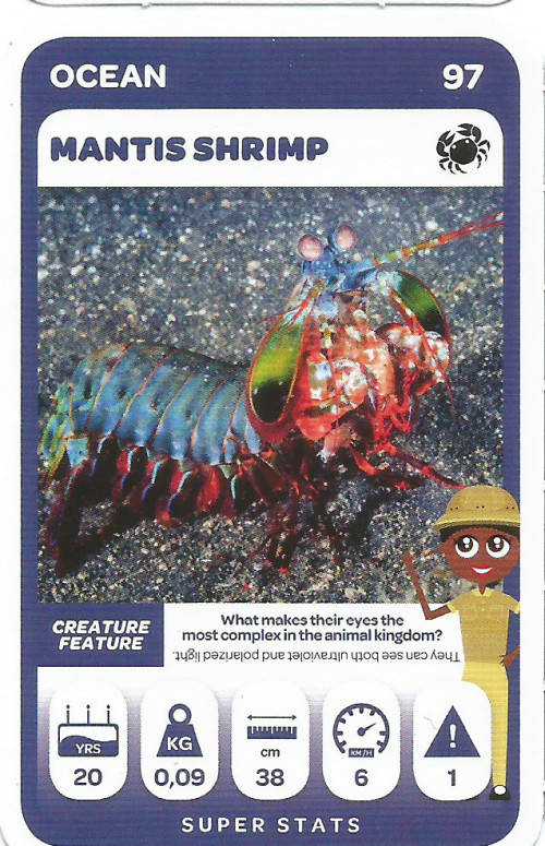 PICK n PAY "SOUTH AFRICAN SUPER ANIMALS" SERIES 2 - TRADING CARD 97