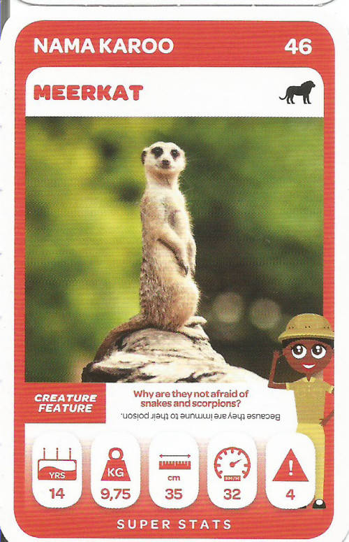 PICK n PAY "SOUTH AFRICAN SUPER ANIMALS" SERIES 2 - TRADING CARD 46