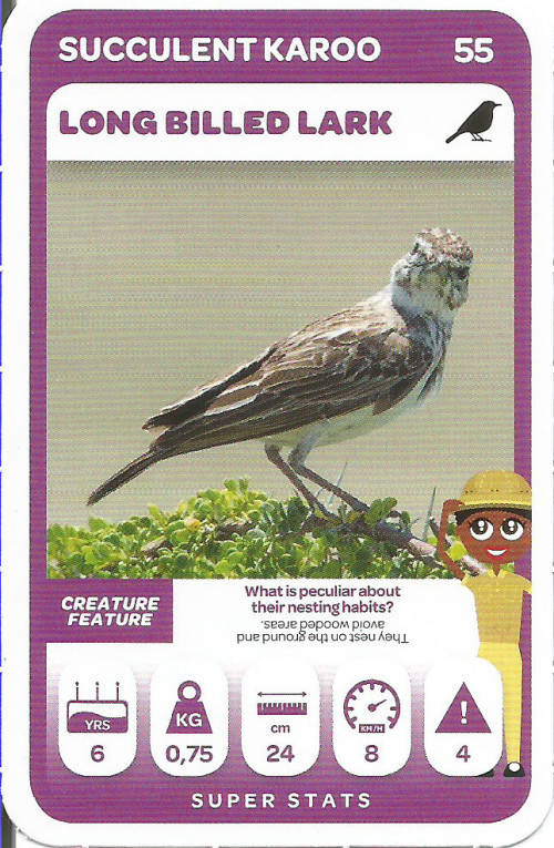 PICK n PAY "SOUTH AFRICAN SUPER ANIMALS" SERIES 2 - TRADING CARD 55