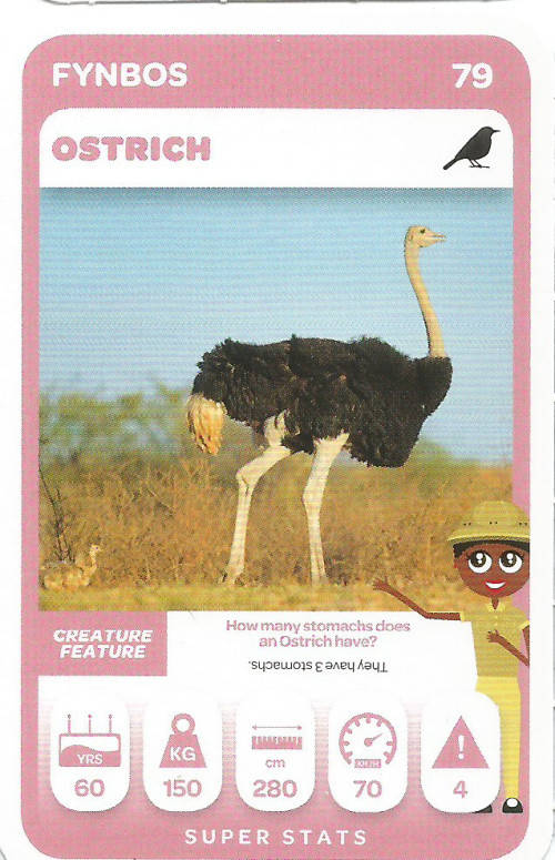 PICK n PAY "SOUTH AFRICAN SUPER ANIMALS" SERIES 2 - TRADING CARD 79