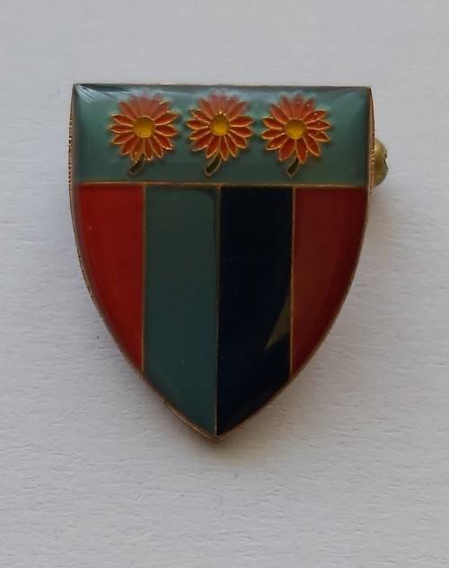NORTHERN TRANSVAAL RUGBY LAPEL PIN BADGE
