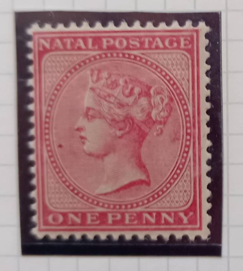 NATAL 1882/1889  1d ROSE STAMP  - SACC 95 M/MINT