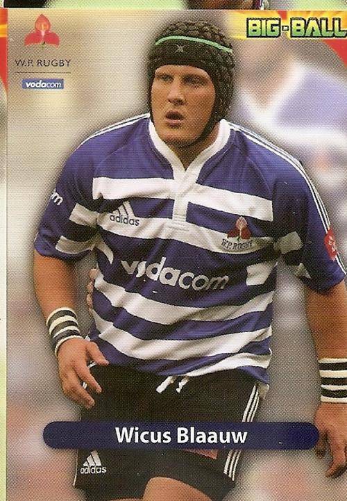 BIG BALL 2010 RUGBY COLLECTION - WICUS BLAAUW BASE CARD WP38