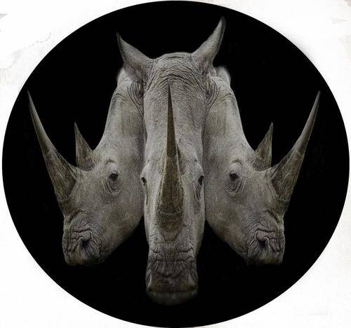 4x4 Spare Wheel Covers - Rhino Prints