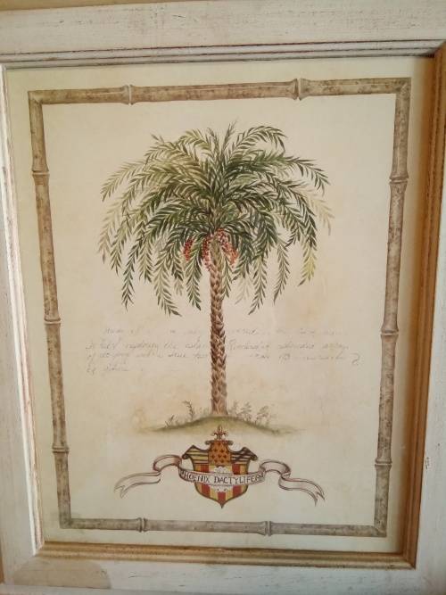 Stunning set of Shabby Chic Framed Vintage Style Botanical Prints H+-72cm each width +-55cm