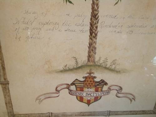Stunning set of Shabby Chic Framed Vintage Style Botanical Prints H+-72cm each width +-55cm