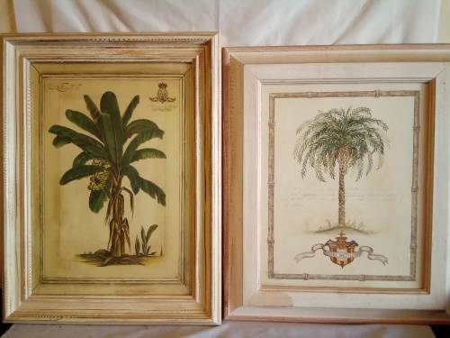 Stunning set of Shabby Chic Framed Vintage Style Botanical Prints H+-72cm each width +-55cm