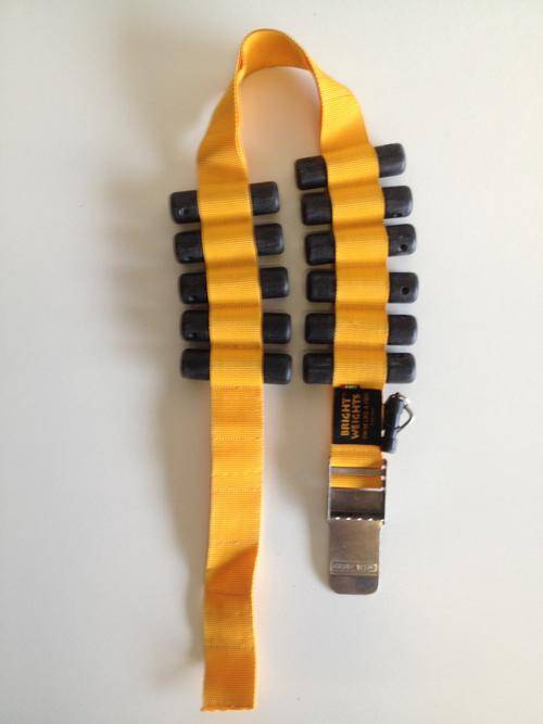 Bright Weights Weight Belt