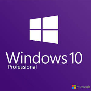 Windows 10 Professional (32/64Bit)
