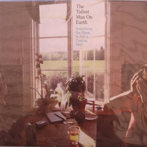 The Tallest Man On Earth - Sometimes The Blues Is Just A Passing Bird (2010)