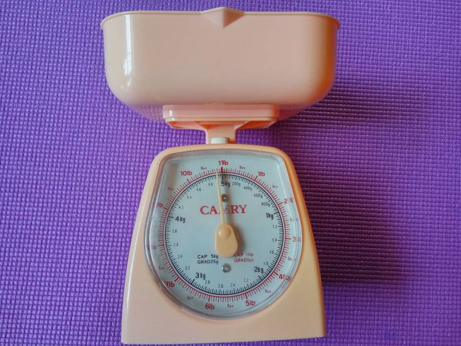 Camry Old-Fashion Kitchen Scale Light Pink