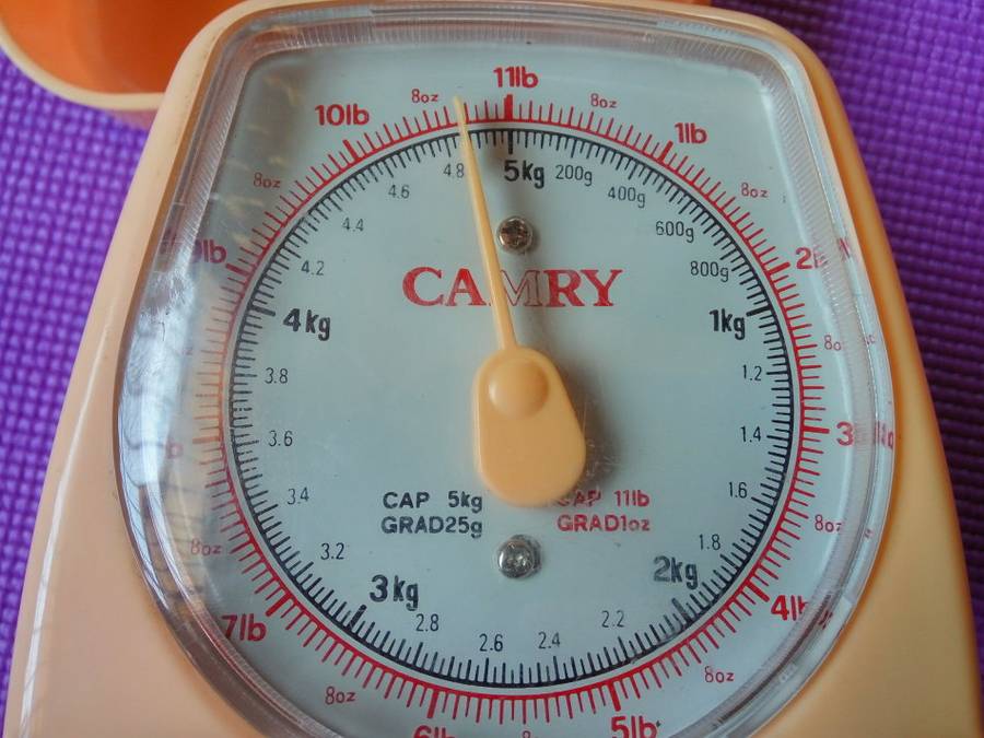 Camry Old-Fashion Kitchen Scale Light Pink