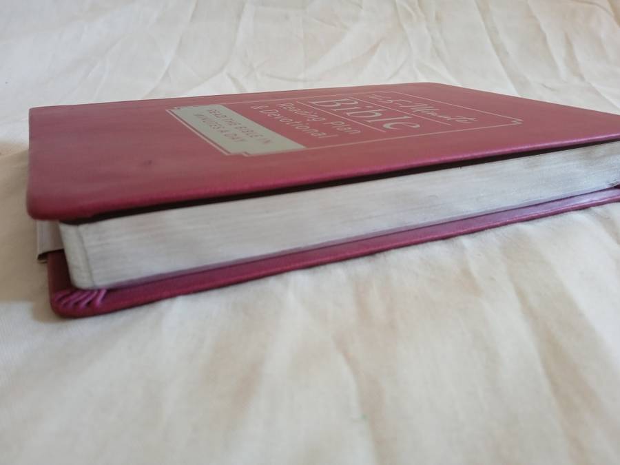 THE 5-MINUTE BIBLE READING PLAN & DEVOTIONAL