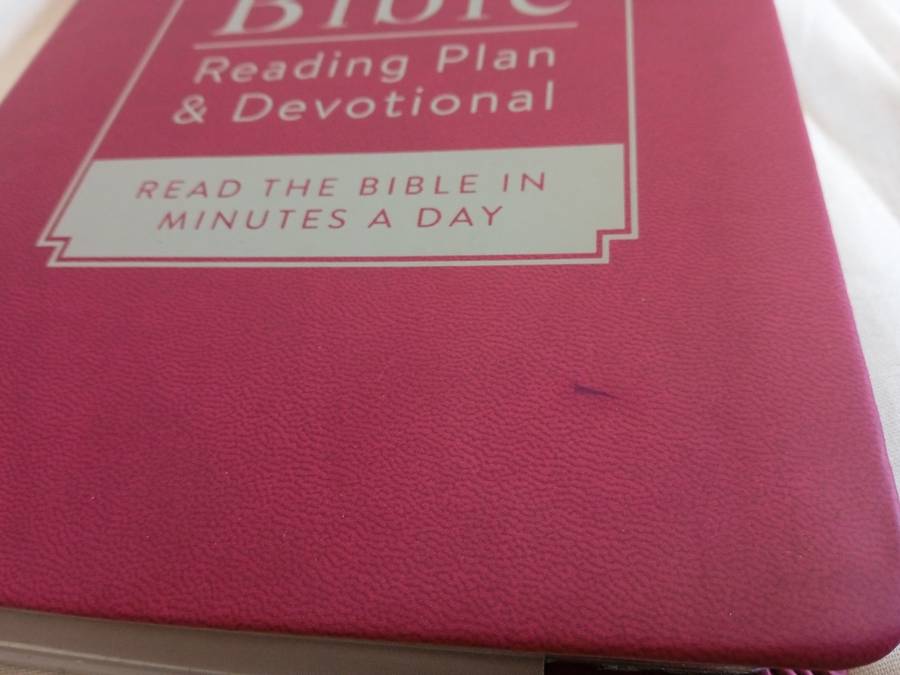 THE 5-MINUTE BIBLE READING PLAN & DEVOTIONAL