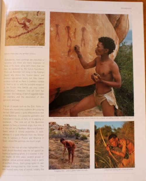 Bushman Art of Southern Africa