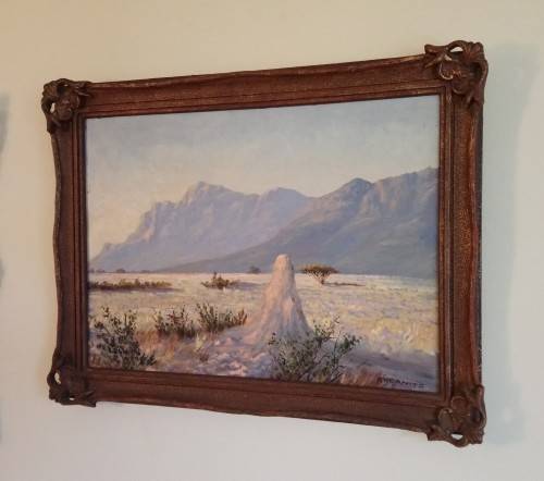 George Paul Canitz - Karoo landscape
