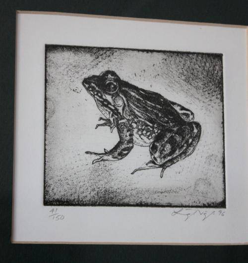 Leigh Voigt Frog etching