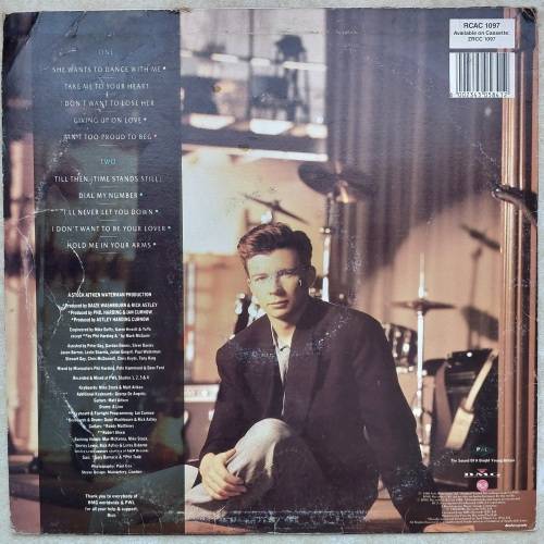 RICK ASTLEY - HOLD ME IN YOUR ARMS