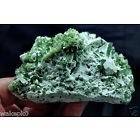 770 CT Natural Superb Rare Afghan Paraiba Green Tourmaline Spray C/W Quartz